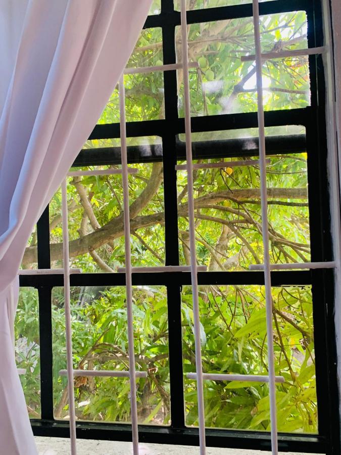 Ocean View Apartments Bridgetown Dış mekan fotoğraf